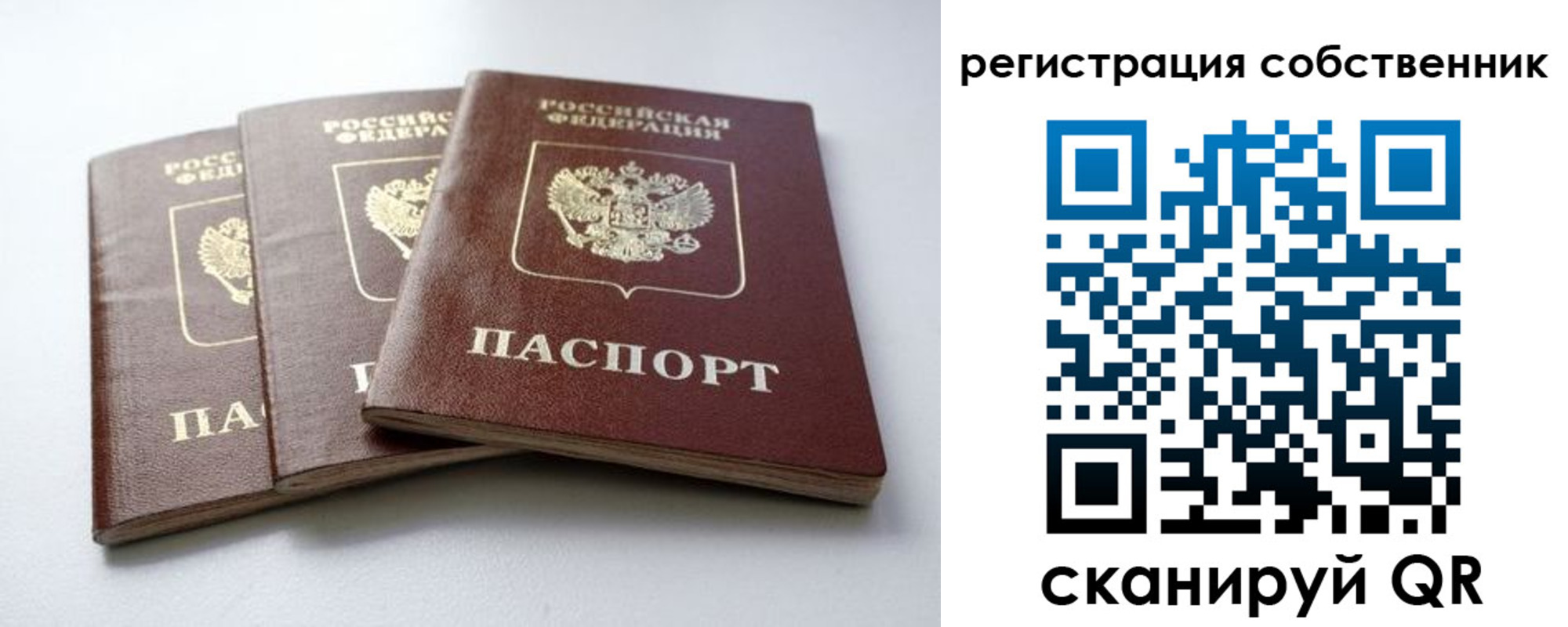 прописка для школы в Канаше
